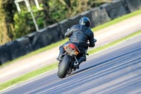 Oulton-Park-20th-March-2020;PJ-Motorsport-Photography-2020;anglesey;brands-hatch;cadwell-park;croft;donington-park;enduro-digital-images;event-digital-images;eventdigitalimages;mallory;no-limits;oulton-park;peter-wileman-photography;racing-digital-images;silverstone;snetterton;trackday-digital-images;trackday-photos;vmcc-banbury-run;welsh-2-day-enduro